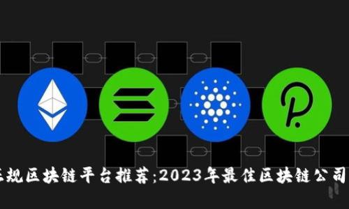 中国正规区块链平台推荐：2023年最佳区块链公司全解析