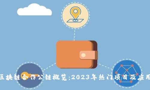 BSN区块链合作公链概览：2023年热门项目及应用分析