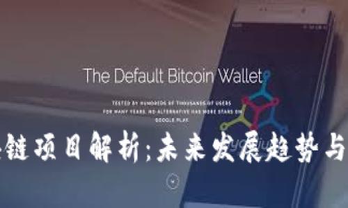 首码区块链项目解析：未来发展趋势与实际案例