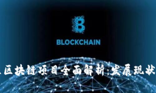光谷区区块链项目全面解析：发展现状与未来