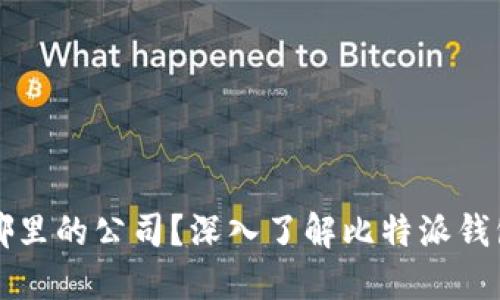 比特派钱包是哪里的公司？深入了解比特派钱包的背景和发展