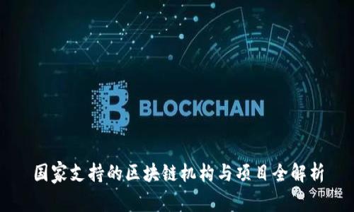 国家支持的区块链机构与项目全解析