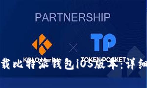 如何在官网上下载比特派钱包iOS版本：详细步骤与注意事项