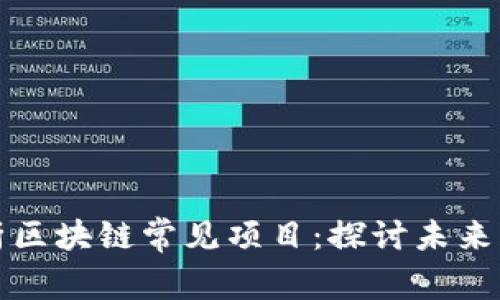 深入分析区块链常见项目：探讨未来发展趋势