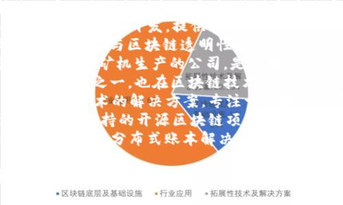 以下是一些在区块链领域具有影响力的公司及其英文名称：

1. **IBM** - 以其区块链平台IBM Blockchain著称，主要为企业提供区块链解决方案。
2. **Ethereum Foundation** - 负责以太坊区块链的开发和维护，以太坊是一个开源的区块链平台，支持智能合约。
3. **Ripple Labs** - 提供区块链技术以实现全球支付解决方案，特别是在跨境支付领域。
4. **Consensys** - 主要专注于以太坊生态系统的开发，提供一系列工具和服务来促进区块链技术应用。
5. **Chainalysis** - 区块链数据分析公司，提供与区块链透明性和合规性相关的解决方案。
6. **Bitmain Technologies** - 专注于比特币矿机生产的公司，是区块链基础设施的关键参与者。
7. **Binance** - 全球最大的加密货币交易所之一，也在区块链技术方面进行广泛投资。
8. **Blockstream** - 提供比特币及其相关技术的解决方案，专注于区块链发展的基础设施。
9. **Hyperledger** - 由Linux Foundation支持的开源区块链项目，致力于为企业提供灵活的区块链解决方案。
10. **Corda** - 由R3开发，旨在为金融行业提供分布式账本解决方案。

以上公司在区块链技术的开发、应用和服务中发挥着重要作用，各自专注于不同的领域和目标。