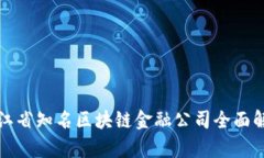 浙江省知名区块链金融公司全面解析