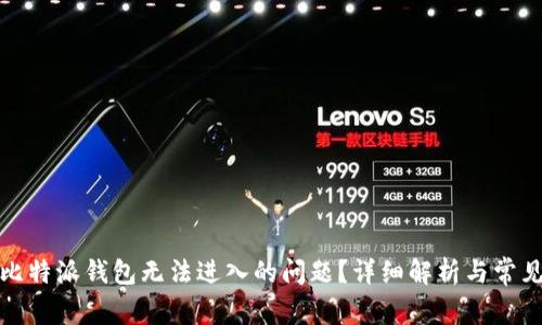 如何解决比特派钱包无法进入的问题？详细解析与常见解决方案