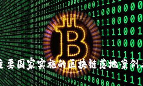 全球主要国家实施的区块链落地案例与分析