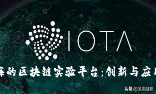 探索上海的区块链实验平台：创新与应用的前沿