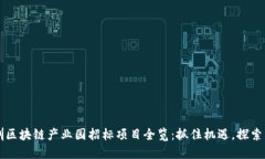 深圳区块链产业园招标项目全览：抓住机遇，探