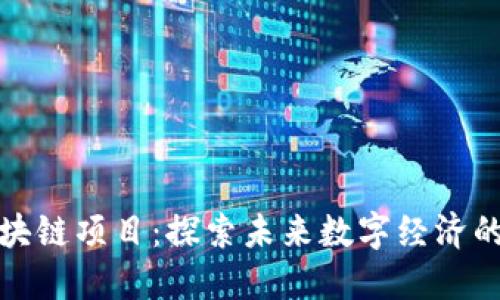河南区块链项目：探索未来数字经济的新蓝海