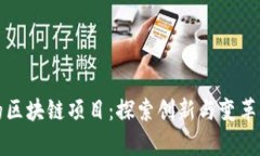 纽约的区块链项目：探索创新与变革的前沿