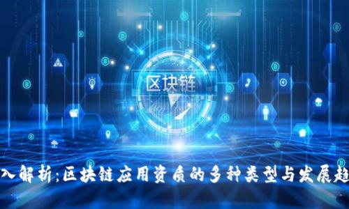 深入解析：区块链应用资质的多种类型与发展趋势