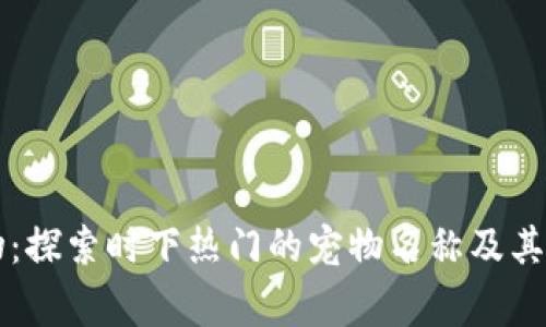 区块链宠物：探索时下热门的宠物名称及其背后的故事