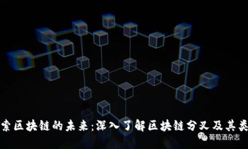 探索区块链的未来：深入了解区块链分叉及其类型