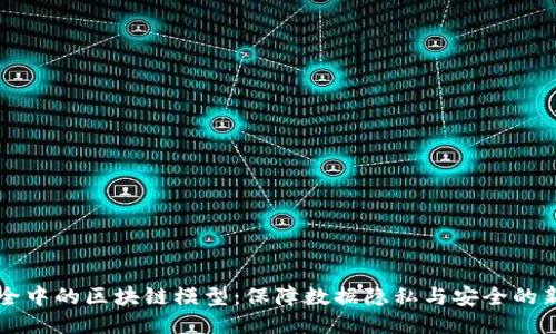 网络安全中的区块链模型：保障数据隐私与安全的新兴技术