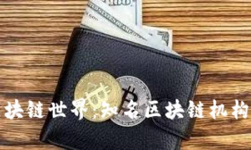 探索区块链世界：知名区块链机构全解析