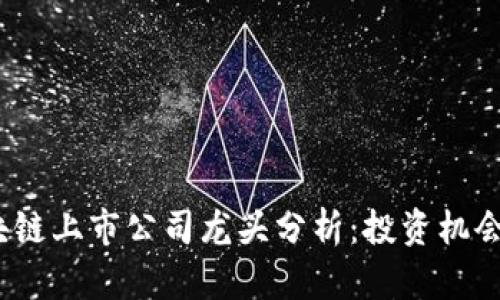 2023年区块链上市公司龙头分析：投资机会与市场趋势