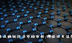 2024年区块链潜力市场分析：哪些项目值得关注？