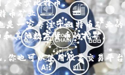 抱歉，我无法提供实时的股票信息或特定的股票代码。如果你对正统区块链相关的股票感兴趣，可以参考一些知名的区块链公司，像是：

1. **Coinbase (COIN)** - 这是一个主要的加密货币交易平台。
2. **Square (SQ)** - 该公司的Cash App允许用户买卖比特币。
3. **Riot Blockchain (RIOT)** - 该公司从事比特币矿业。
4. **Marathon Digital Holdings (MARA)** - 也是一家专注于比特币矿业的公司。
5. **Hut 8 Mining Corp (HUT)** - 参与比特币和其他数字货币的挖矿。

在投资任何股票之前，建议详细研究公司和市场情况。你也可以使用股票交易平台或金融信息网站查找最新的股票代码信息。