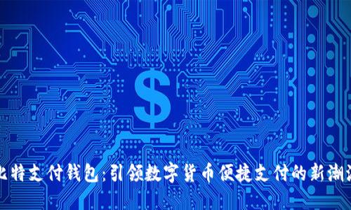 比特支付钱包：引领数字货币便捷支付的新潮流