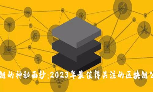 揭开公链的神秘面纱：2023年最值得关注的区块链公链项目