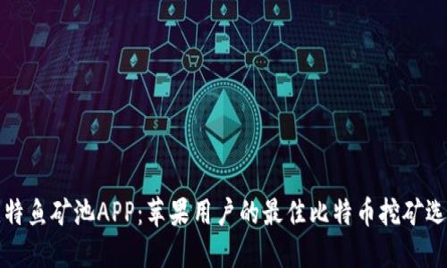 比特鱼矿池APP：苹果用户的最佳比特币挖矿选择