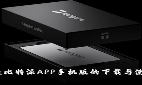 深入解析：比特派APP手机版的下载与使用全攻略
