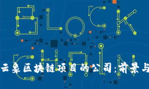 探索云象区块链项目的公司：前景与创新