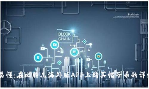 简单易懂：在比特儿海外版APP上购买帽子币的详细指南