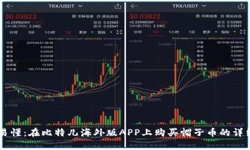 简单易懂：在比特儿海外版APP上购买帽子币的详细指南