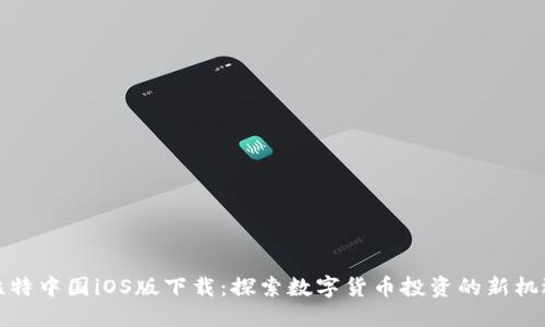 比特中国iOS版下载：探索数字货币投资的新机遇