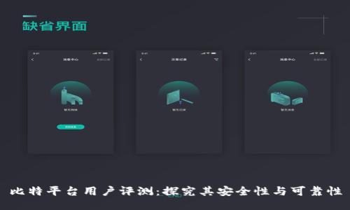 比特平台用户评测：探究其安全性与可靠性