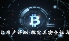 比特平台用户评测：探究其安全性与可靠性