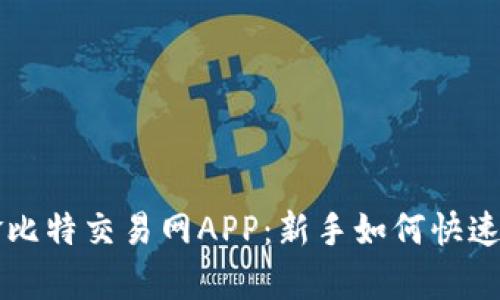 深入解析深圳金比特交易网APP：新手如何快速上手与独特功能