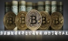 顶尖区块链项目平台公司分析：助你了解行业先