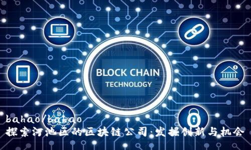 bahao/bahao
探索河池区的区块链公司：发掘创新与机会