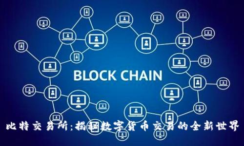 比特交易所：揭秘数字货币交易的全新世界