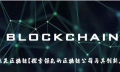 什么是区块链？探索领先的区块链公司与其创新