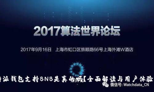 比特派钱包支持BNB是真的吗？全面解读与用户体验分析