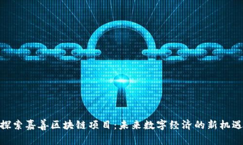 探索嘉善区块链项目：未来数字经济的新机遇