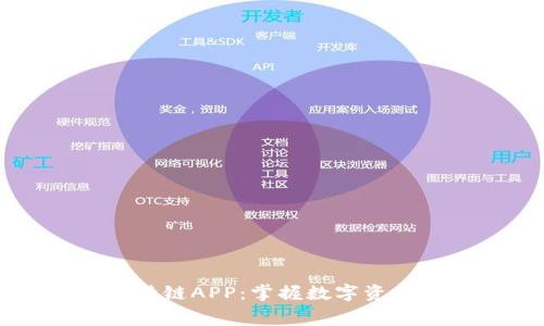 免费下载比特链APP：掌握数字资产交易的未来
