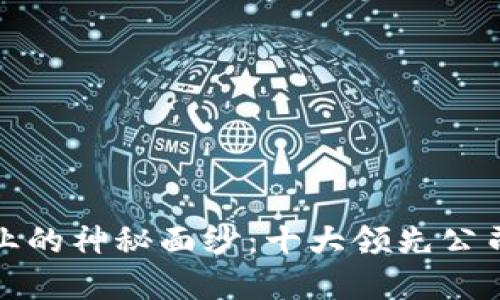 揭开区块链软件企业的神秘面纱：十大领先公司及其独特解决方案