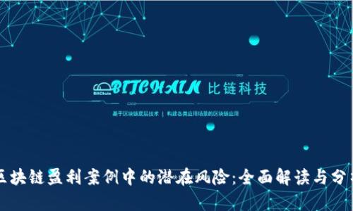 区块链盈利案例中的潜在风险：全面解读与分析