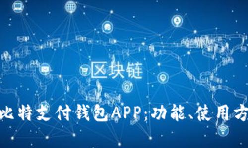 : 全面解析比特支付钱包APP：功能、使用方法与安全性