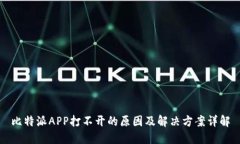 比特派APP打不开的原因及解决方案详解