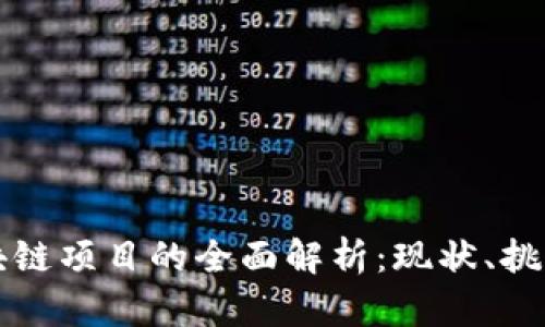 政府推进区块链项目的全面解析：现状、挑战与未来展望