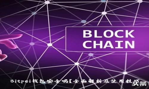 Bitpei钱包安全吗？全面解析及使用技巧