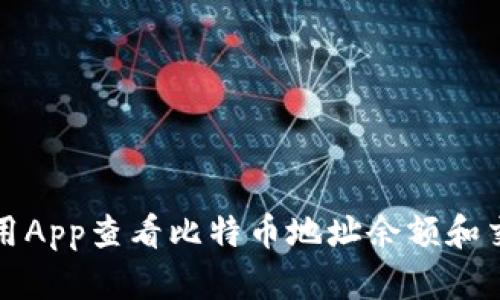 如何使用App查看比特币地址余额和交易记录