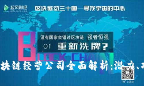 2023年区块链经营公司全面解析：潜力、项目与前景